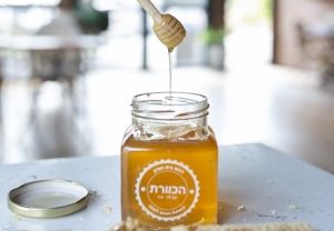מרכז מבקרים הכוורת: בילוי מתוק מדבש לכל המשפחה
